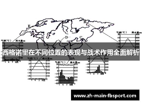 西格诺里在不同位置的表现与战术作用全面解析