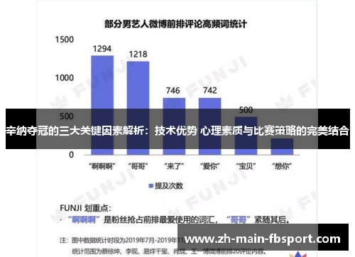 辛纳夺冠的三大关键因素解析：技术优势 心理素质与比赛策略的完美结合