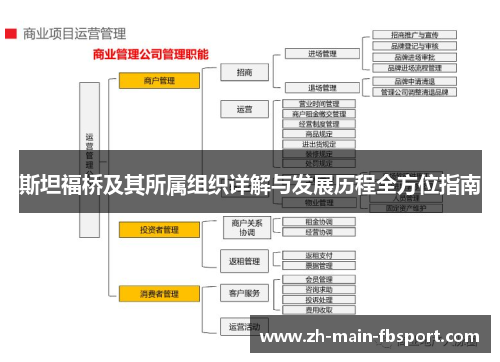 斯坦福桥及其所属组织详解与发展历程全方位指南