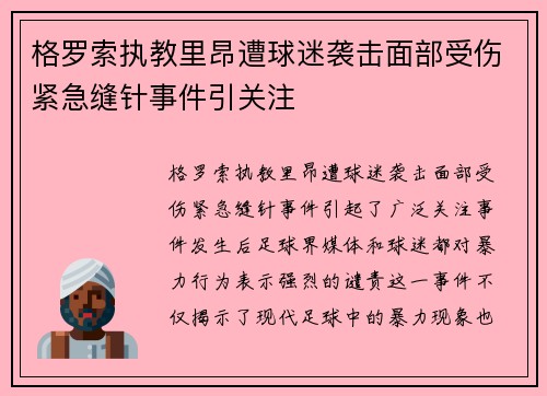 格罗索执教里昂遭球迷袭击面部受伤紧急缝针事件引关注 格罗索执教里昂遭球迷袭击面部受伤紧急缝针事件引关注